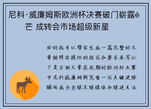 尼科·威廉姆斯欧洲杯决赛破门崭露锋芒 成转会市场超级新星